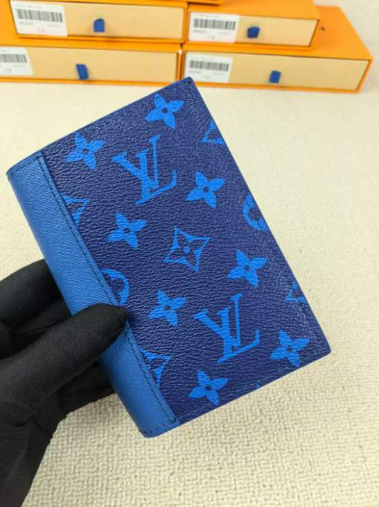 Picture of Louis Vuitton Wallets _SKUfw220043982fw